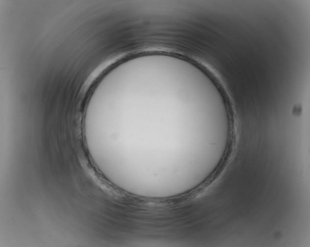 X0000115720933200911121059