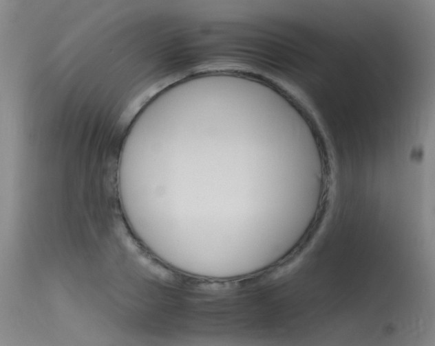 X0000115720937200911121059