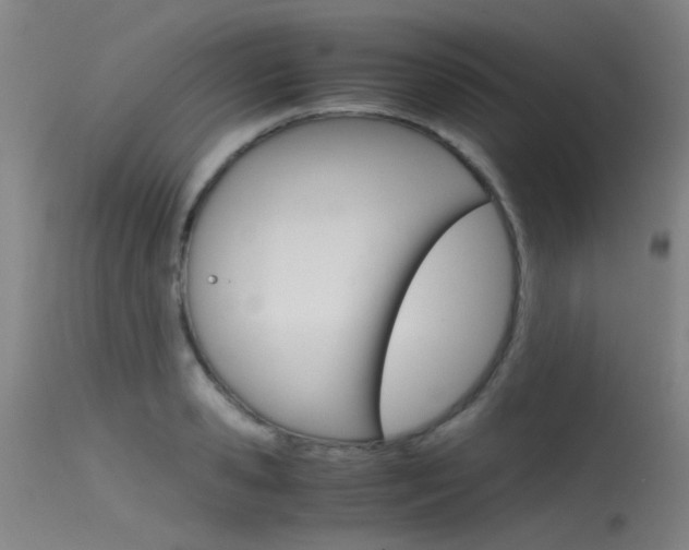 X0000115720941200911121059