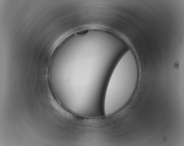 X0000115720946200911121100