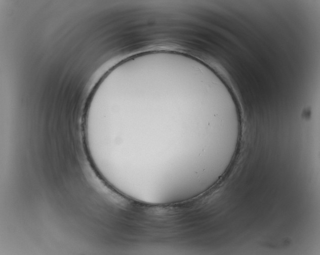 X0000115720947200911121100