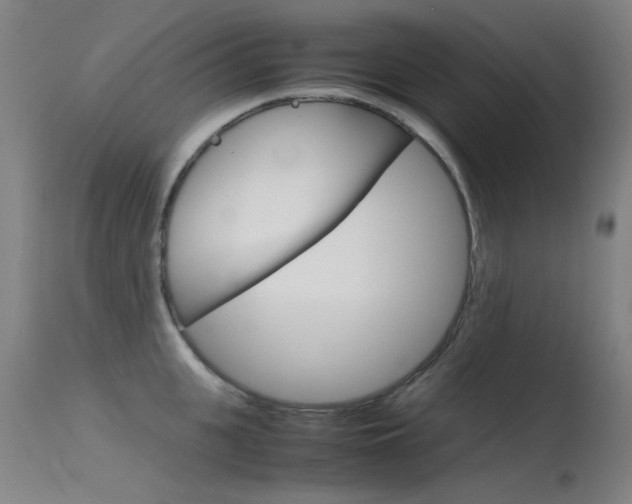 X0000115720951200911121100