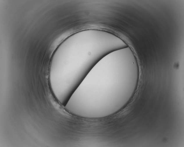 X0000115720954200911121100