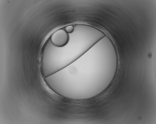 X0000115720955200911121100