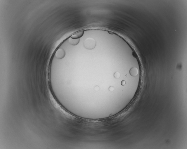 X0000115720957200911121100