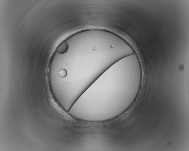 X0000115720958200911121100