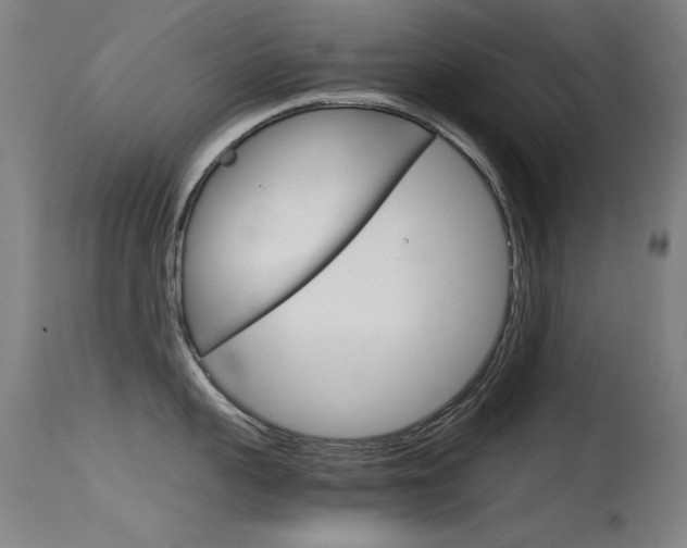 X0000115720959200911121100