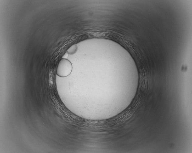 X0000115720962200911121059