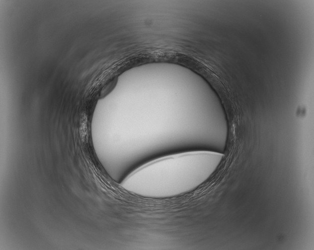 X0000115720963200911121059