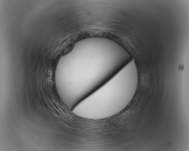 X0000115720964200911121059