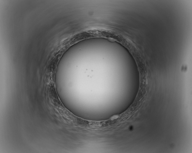 X0000115720965200911121059