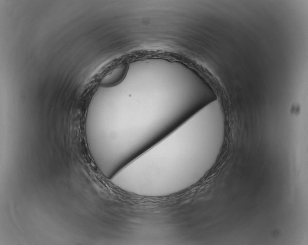 X0000115720968200911121059