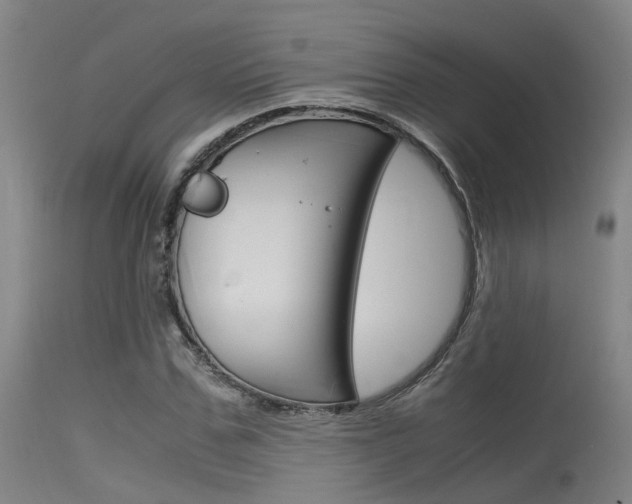 X0000115720971200911121059