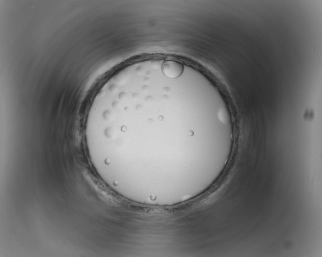X0000115720974200911121059