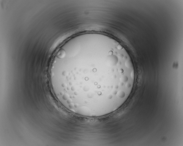 X0000115720978200911121059