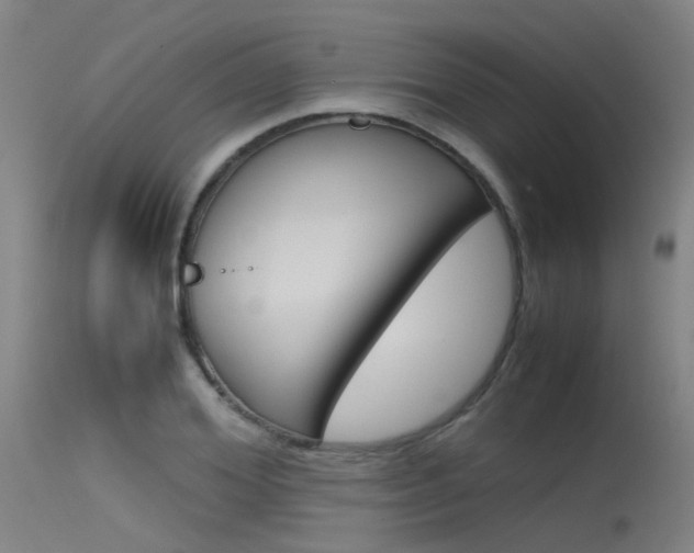 X0000115720980200911121059