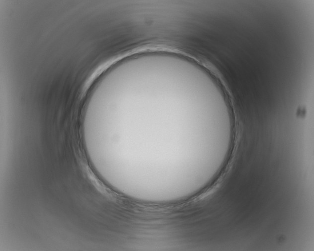 X0000115720981200911121059