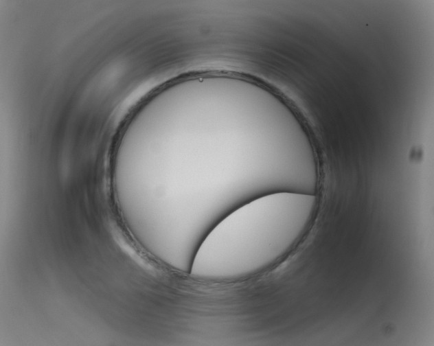 X0000115720982200911121059