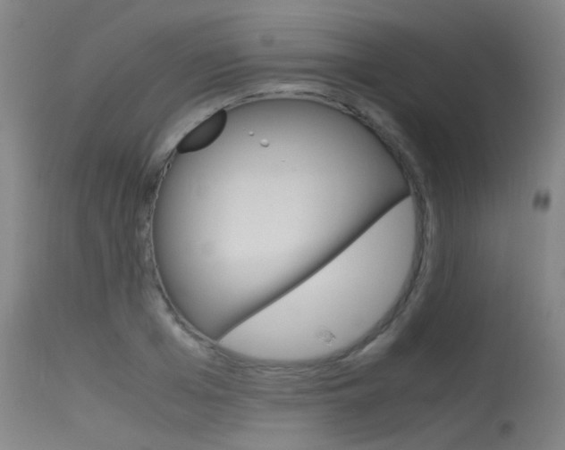 X0000115720985200911121059