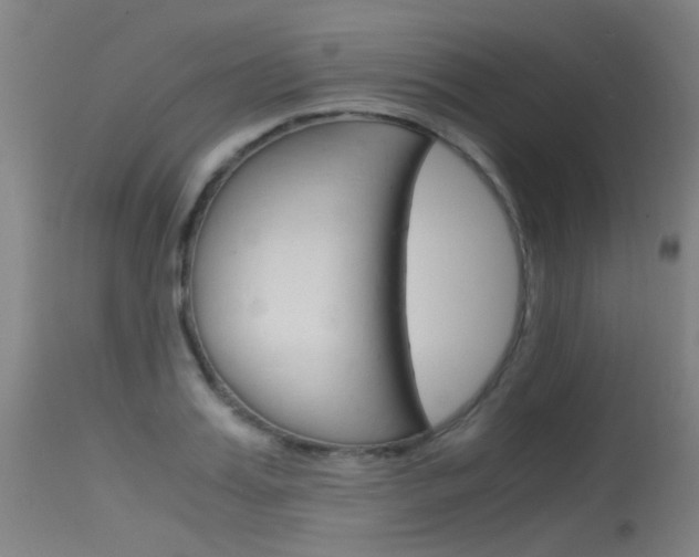 X0000115720987200911121059