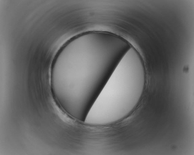 X0000115720988200911121058