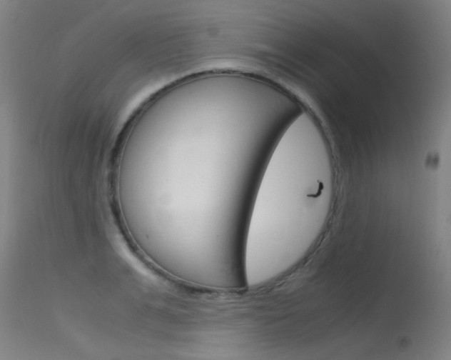 X0000115720991200911121058