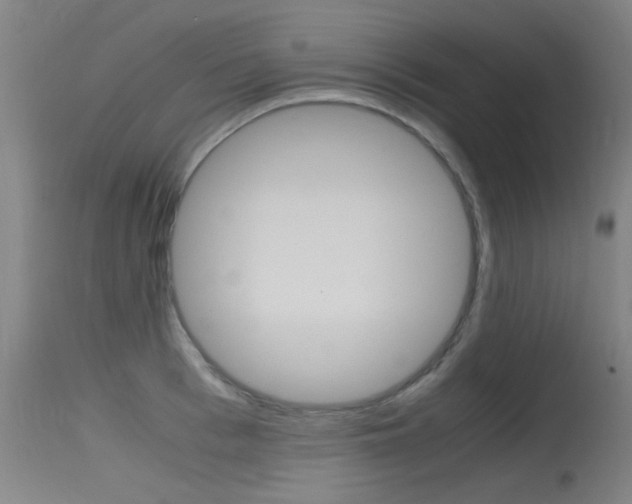 X0000115720993200911121058