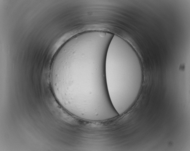 X0000115720994200911121058