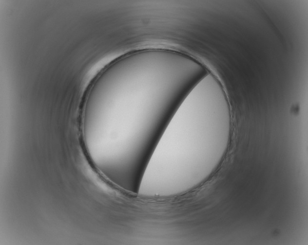 X0000115720995200911121058