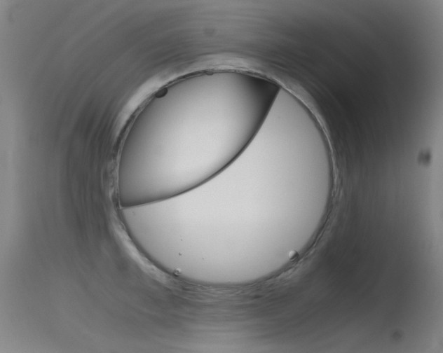 X0000115720997200911121058