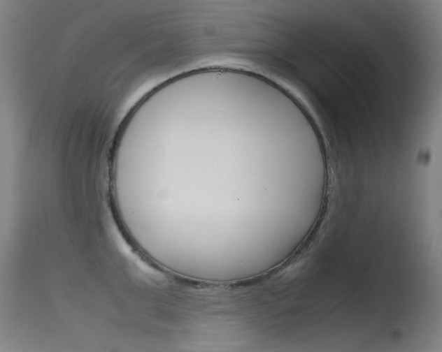 X0000115720999200911121058