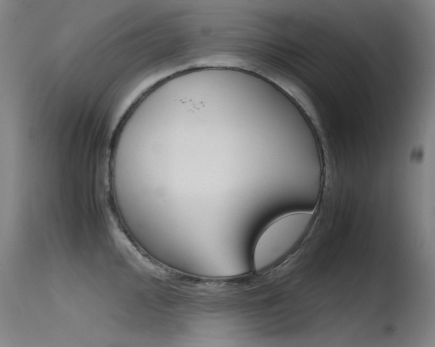 X0000115721000200911121058