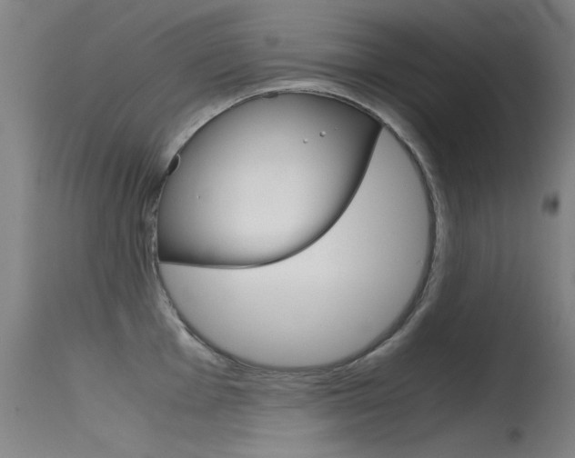 X0000115721001200911121058