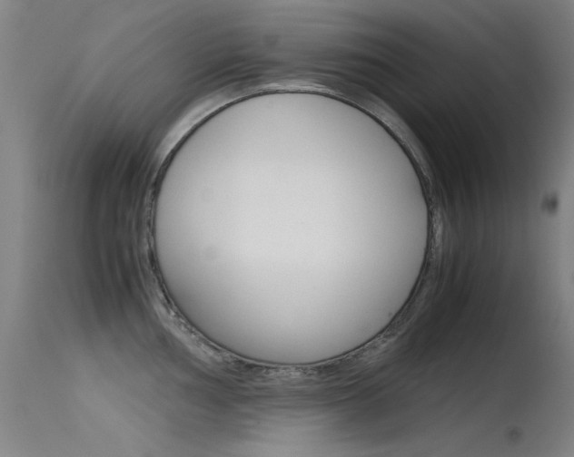 X0000115721002200911121058