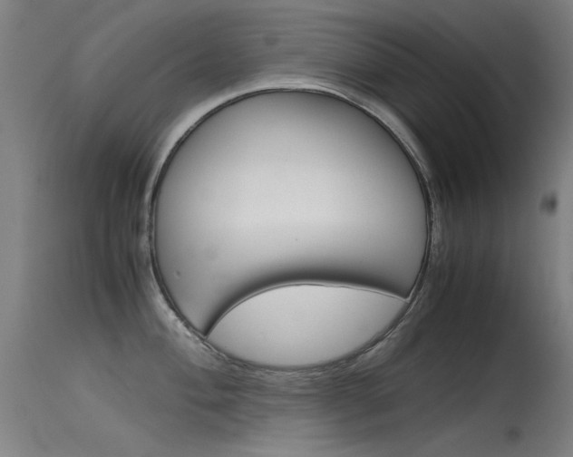X0000115721004200911121058