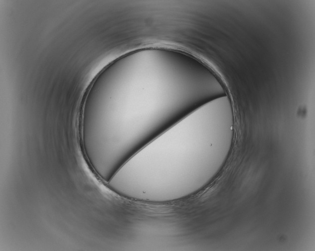 X0000115721007200911121058