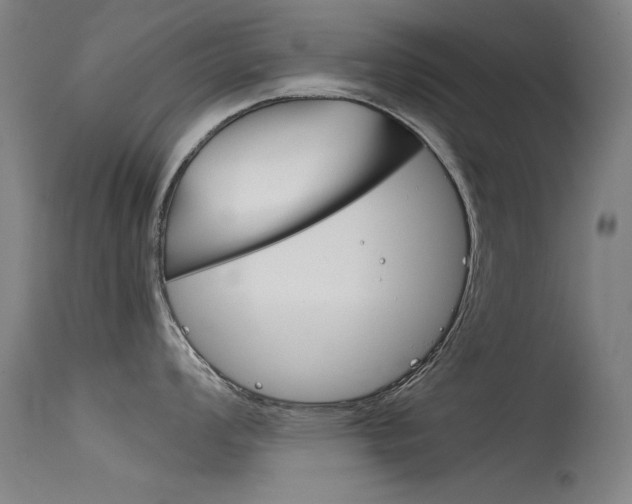 X0000115721008200911121058
