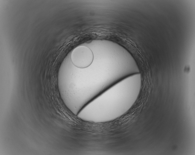 X0000115721009200911121057
