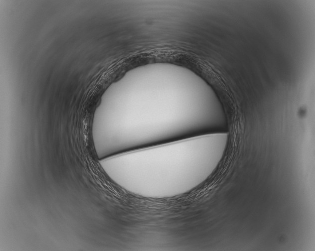 X0000115721010200911121057