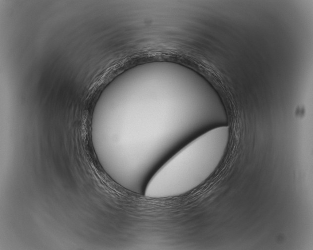 X0000115721012200911121057