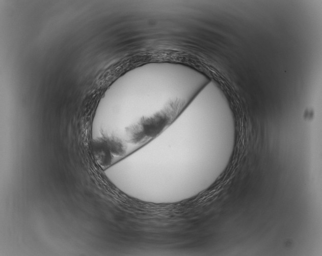 X0000115721013200911121057