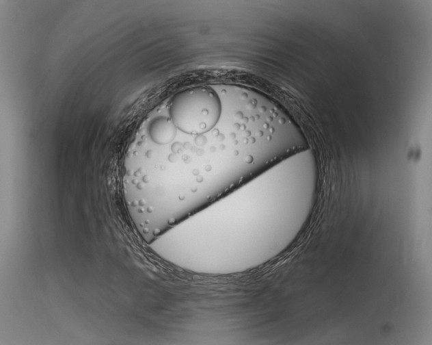 X0000115721014200911121057
