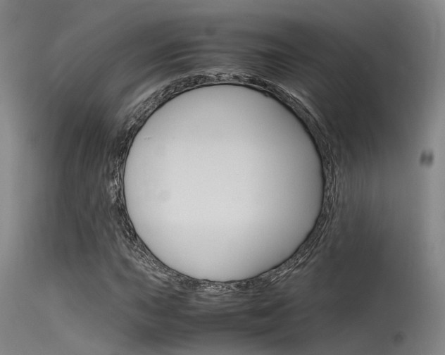 X0000115721015200911121057
