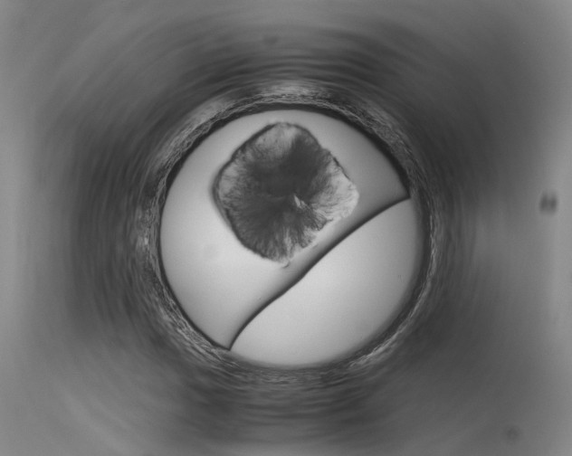 X0000115721017200911121057
