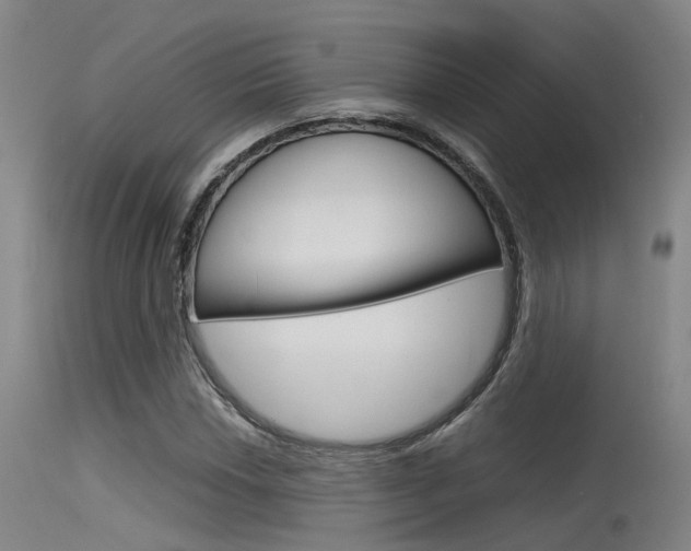 X0000115721018200911121058