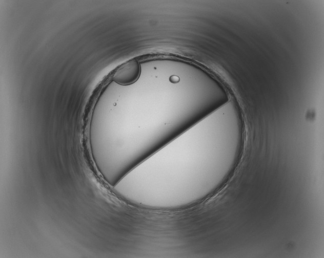 X0000115721020200911121058