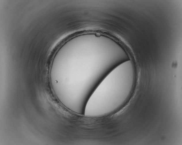 X0000115721021200911121058