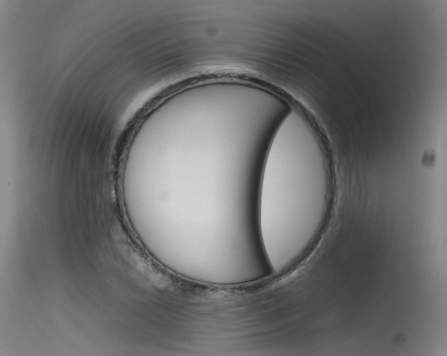 X0000115721022200911121058