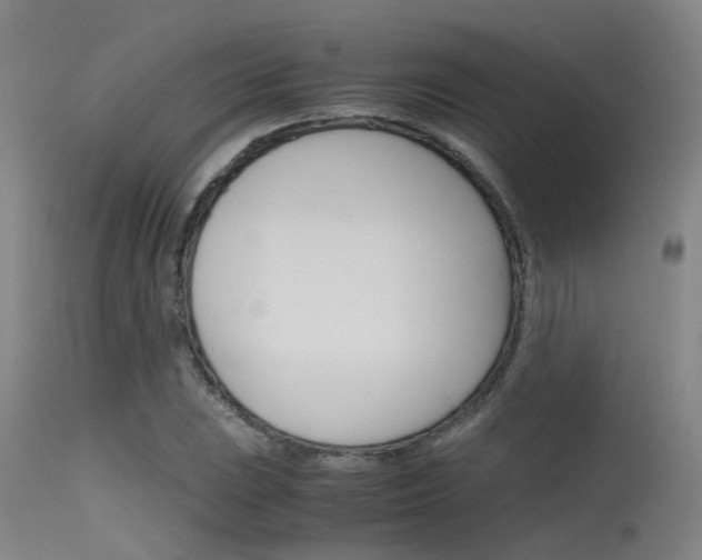 X0000115721023200911121058