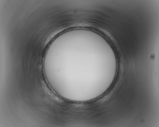 X0000115721025200911121058